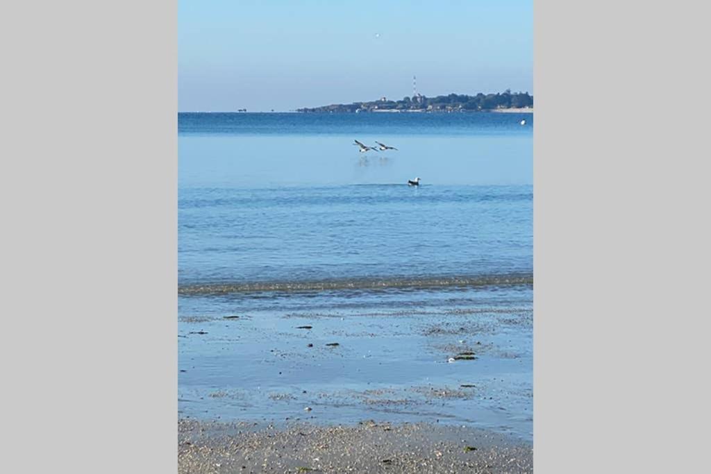 Cap Coz Sea Side Fouesnant Apartment Екстериор снимка